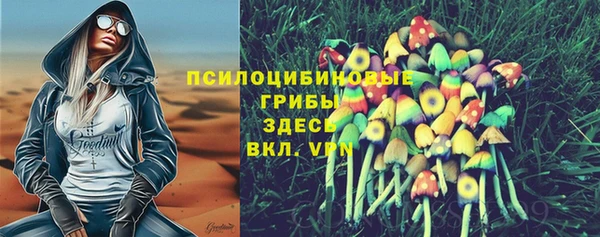 mdpv Горняк